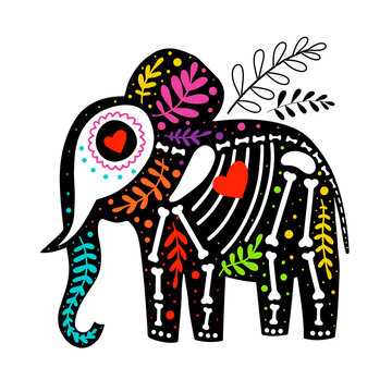 Vector colorful elephant skeleton with floral design, isolated on white background. Dia de los Muertos, Day of the dead or Halloween concept