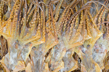 Dry squid on the markets of Western Hong Kong, Sheung Wan, Hong Kong Island, Hong Kong, China