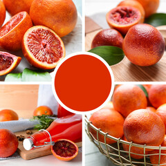 Collage of fresh blood oranges with color sample