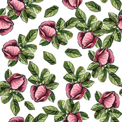 Seamless pattern botanical watercolor illustration of rosehip flower and leaf. Vintage elements. Design for textiles, fabrics, packaking, wallpapers, home decoration