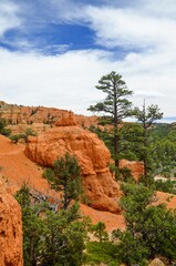 Red Canyon, Utah