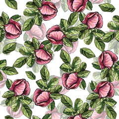 Seamless pattern botanical watercolor illustration of rosehip flower and leaf. Vintage elements. Design for textiles, fabrics, packaking, wallpapers, home decoration