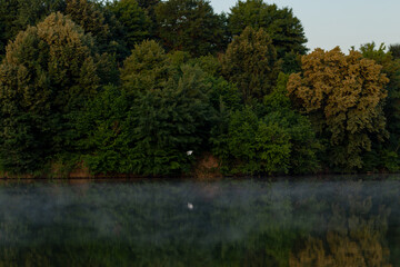 beautiful landscape lake view with fog over water and trees reflected in the water early in the morning