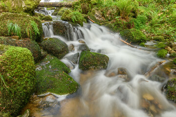 Obraz premium Mountain torrent in the Vosges.