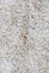 white fur rug in rio de janeiro.