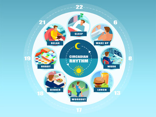 Vector infographic of a circadian rhythm and daily routine of a young man.