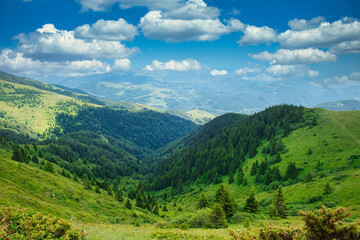 Amazing nature view of National park Kopaonik - the most famous ski center of Serbia - on a sunny summer morning