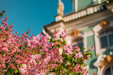 Fototapeta na wymiar Winter Palace building photographed in summer through blooming lilacs, St. Petersburg
