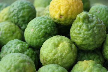 Closed up of  Bergamots fresh group and two tones color in nature background