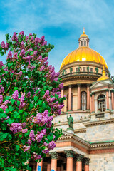 Beautiful view of St. Isaac's Cathedral with blooming lilacs on a summer day in St. Petersburg