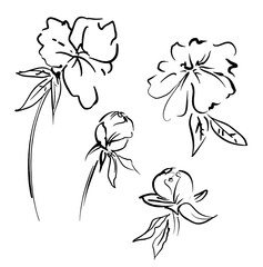 Hand Drawn Flowers vector illustration, Ink Bouquet of peonies
