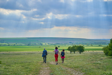 Hikers in Wide Natural Green Landscape