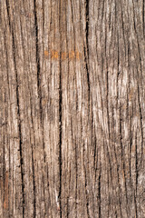 Weathered wood