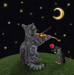 A gray cat musician is playing the violin on the meadow at moon night. A rat holds a red rose.