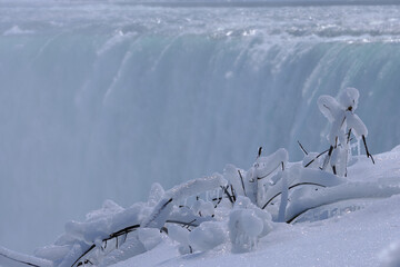 Ice covered bushes and trees at the edge of the nearly frozen waterfalls in Ontario Canada