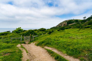 Hiking trail at Kullaberg nature reserve in Sweden during summer season.