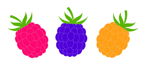 Three raspberries isolated on white background. Closeup.