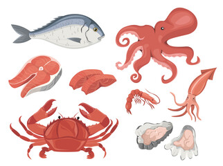 Naklejka premium Seafood set, octopus, squid, salmon, salmon fillet, shrimp, crab, oyster, fish, dorado, healthy vitamin products and ingredients