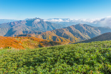 Obraz premium Mountain meadow view at autumn evening time. Sochi.