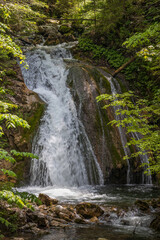 Wasserfall im Wald mit steinigem Flussbett