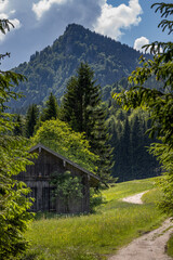 Fototapeta na wymiar Holzscheune in blühender Wiese in Berglandschaft