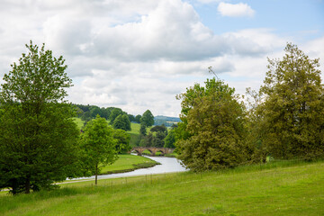 River in a park with bushes and trees