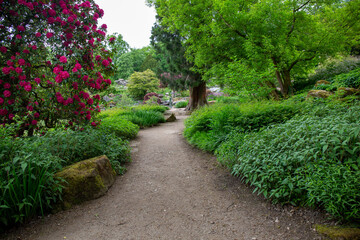 Fototapeta na wymiar Curved path in pretty garden with flowers and tree