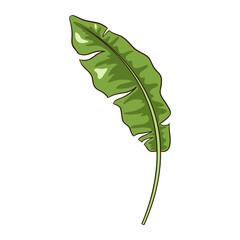 Line Drawing Tropical Banana Leaf. Hand drawing Floral element for logo, cosmetics, spa, emblems, stickers and prints, beauty care products