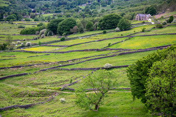 Fototapeta na wymiar Green fields in a Peak District valley 
