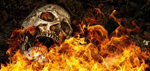 In front of human skull buried on fire in the soil with the roots of the tree on the side. The...