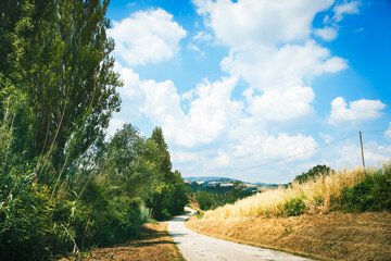 Rural landscape, country road
