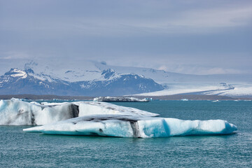 Icebergs and ice flowes calved off the glacier slowly flow out to the ocean from the lagoon