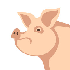 face funny pig, vector illustration, flat style, side