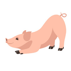 funny pig, vector illustration, flat style, side