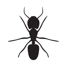 black ant icon- vector illustration