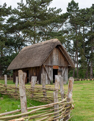 Old log cabin in park
