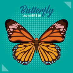 Beautiful butterfly isolated on color background, Vector illustration