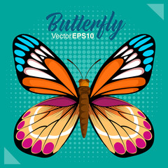 Beautiful butterfly isolated on color background, Vector illustration