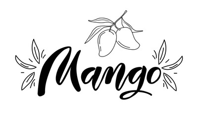 Vector illustration. Mango lettering with decoration on the sides and outline drawn mango fruit. Idea for poster, postcard