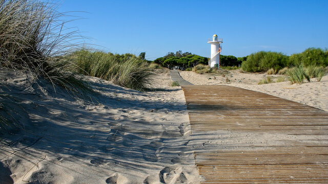 Closeup shot of a wooden pathway in Islantilla,  Spain