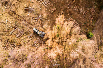 a forest harvster in a dead forest from above