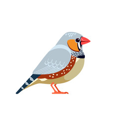 Zebra finch is the most common estrildid finch. Australian Bird Cartoon flat style beautiful character of ornithology, vector illustration isolated on white