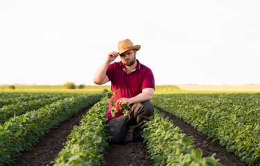 Young farmer in soybean fields