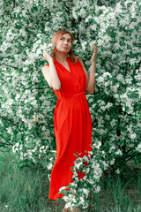 Obraz premium A young woman in a long red dress stands against the background of a blooming apple tree
