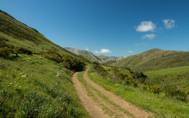 Mountain trail and green landscape of Somiedo Natural Park in spring.