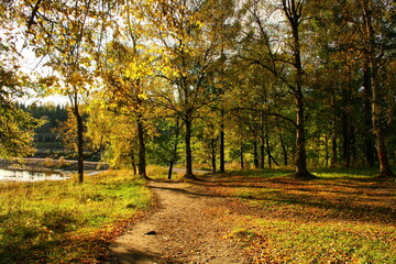 autumn in the park