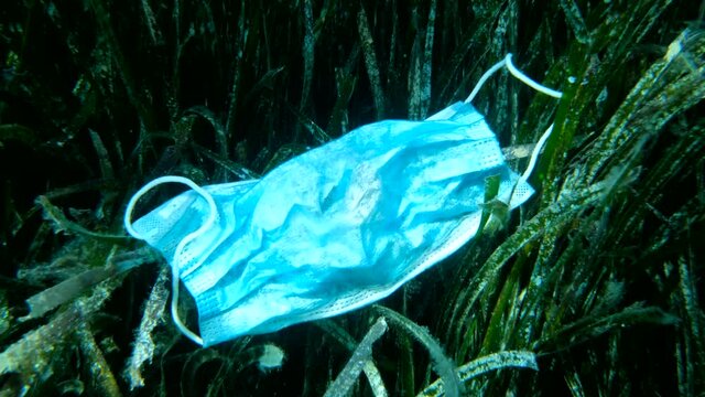 Discarded medical face mask lies on sebed on marine grass Zostera. Coronavirus COVID-19 is contributing to pollution, as discarded used masks clutter polluting seas and ocean along with plastic trash