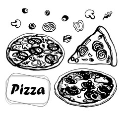 pizza set, vector on transparent background
