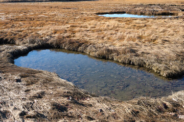 Low tide on a Parson's beach marsh in the New England State of Maine in the winter