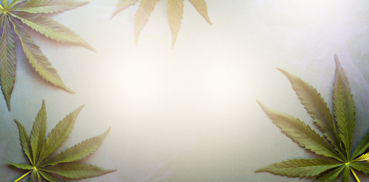 art top view of green cannabis leaves and blue smoke on grey background